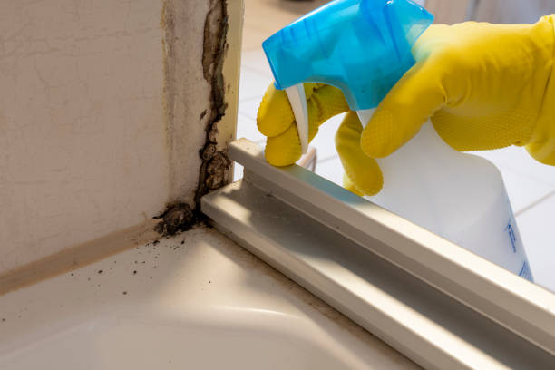 Best Mold Testing and Inspection Services in Nashville, AR